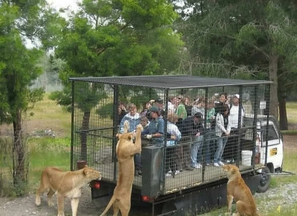 Product photography styling example